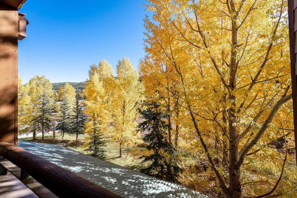 Ski-In/Ski-Out Zephyr 1 Bedroom Condo Уинтър Парк Екстериор снимка